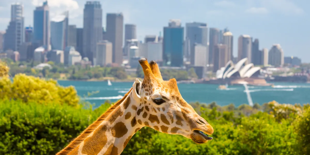 Taronga Zoo