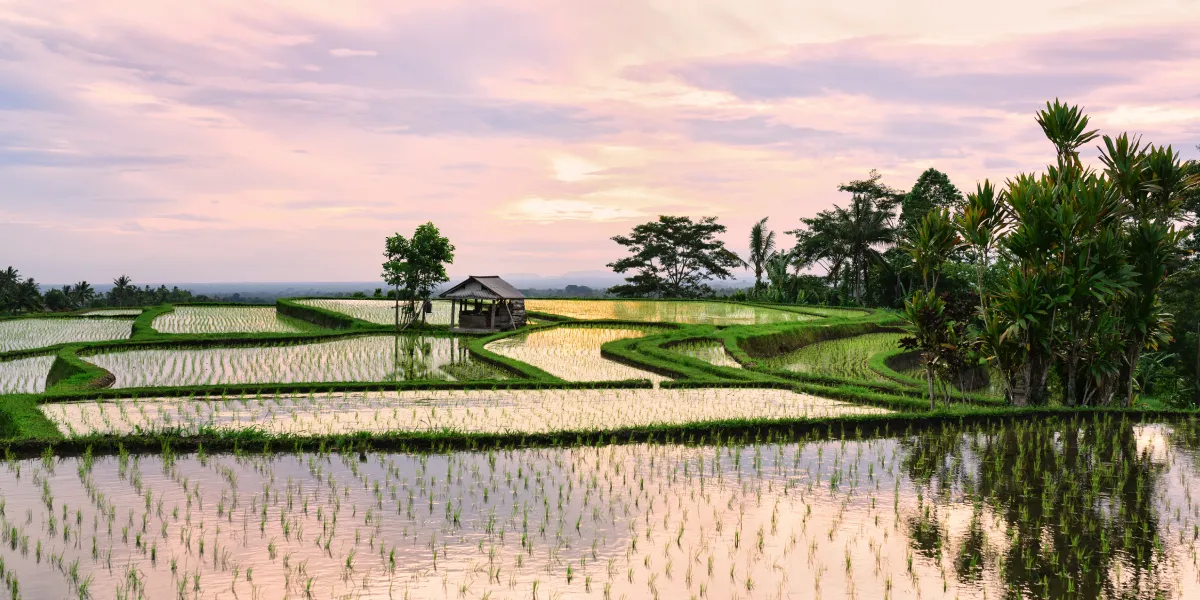 Tegallalang a Jatiluwih