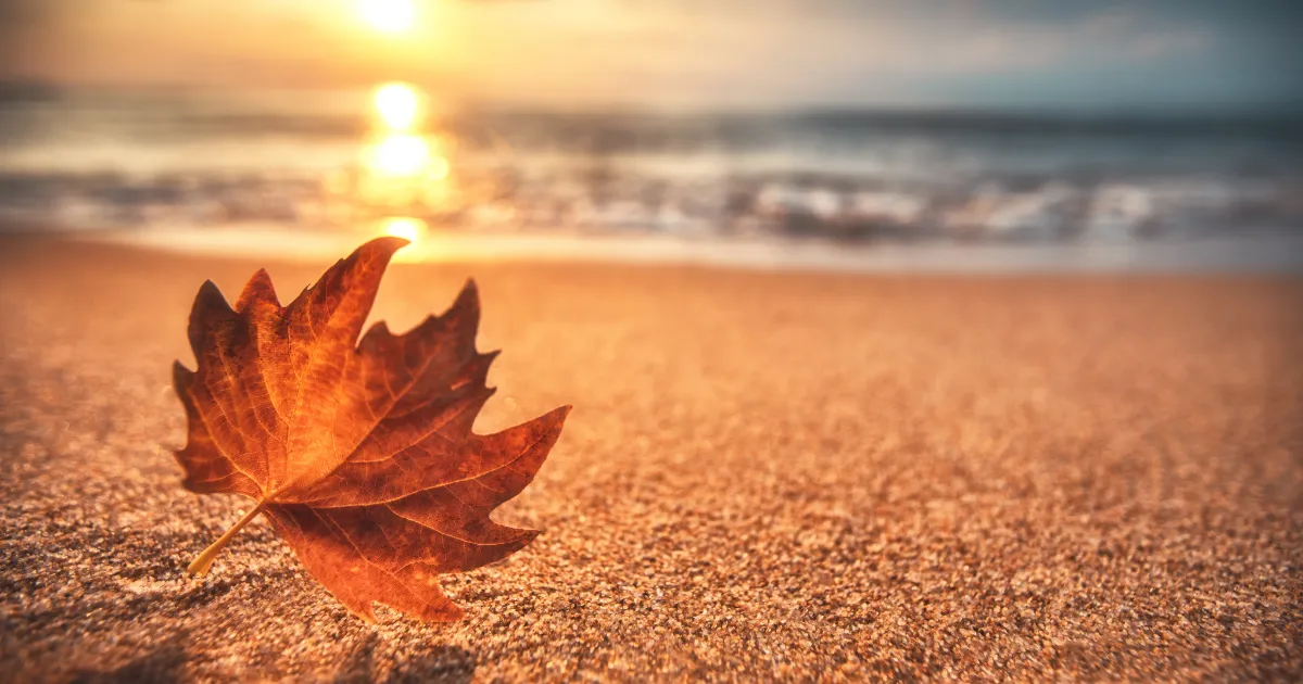 Kam letět v listopadu?