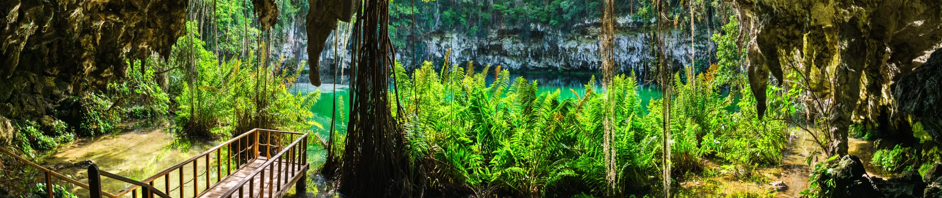  Jezero Los Zaramagullones