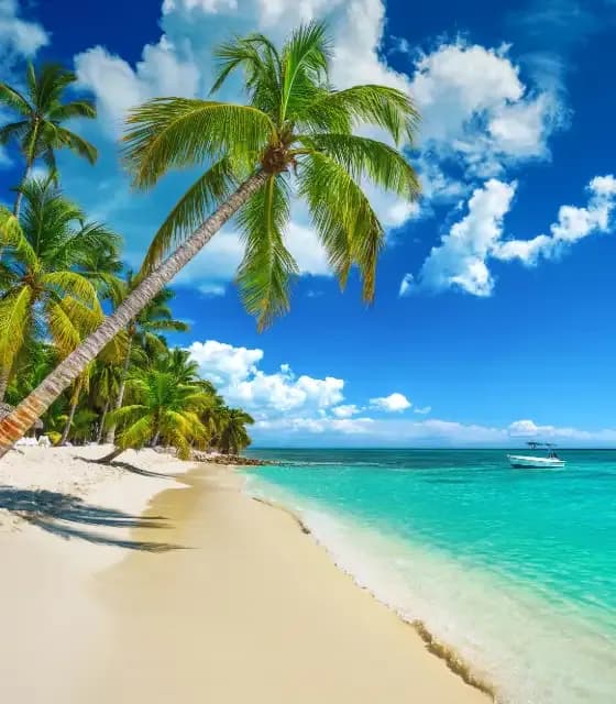 Exotika.webp