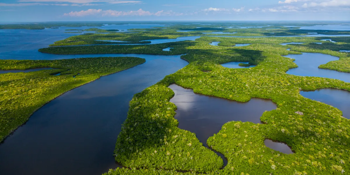 Everglades