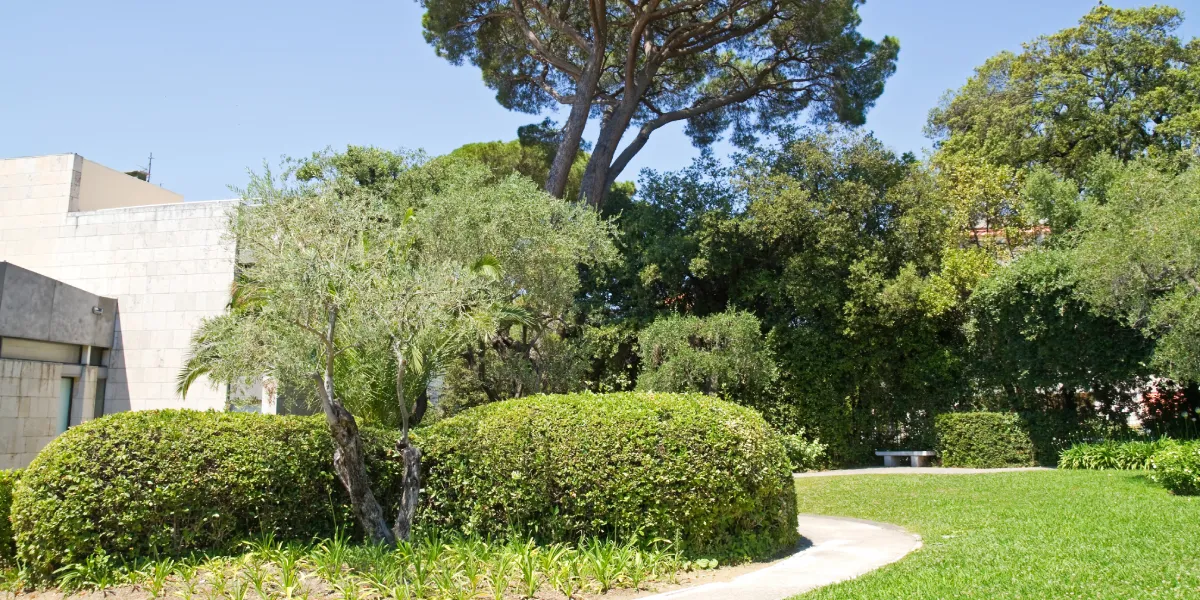 Výlet do Muzea Marc Chagall