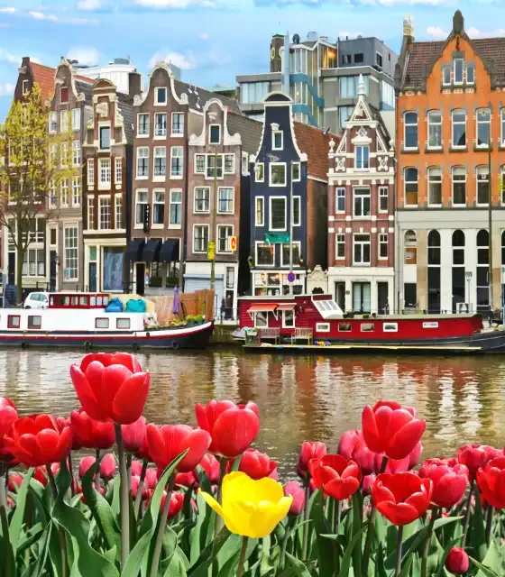 Grafika- Velikonoce-3.webp