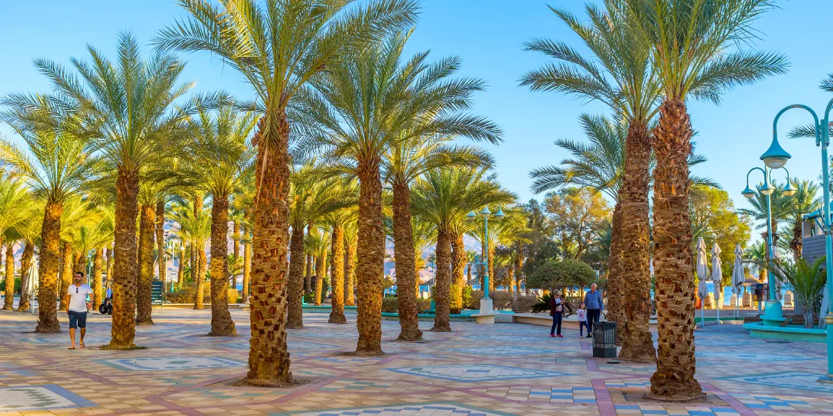 Procházka po promenádě