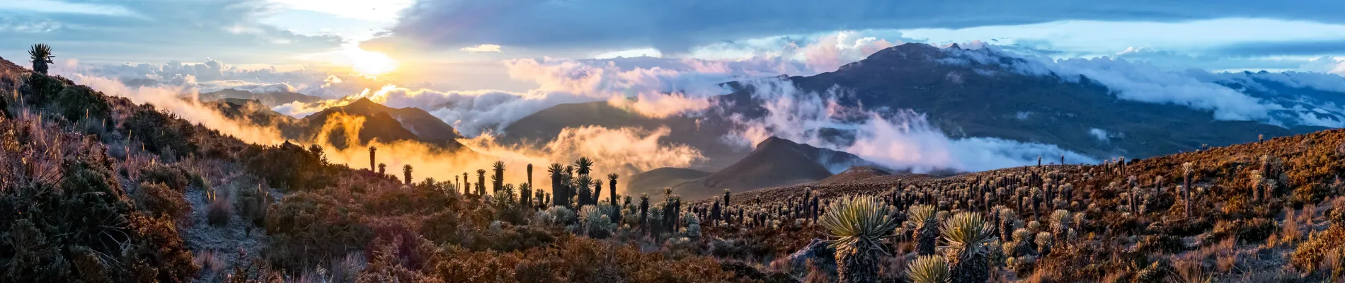 Národní park Los Nevados