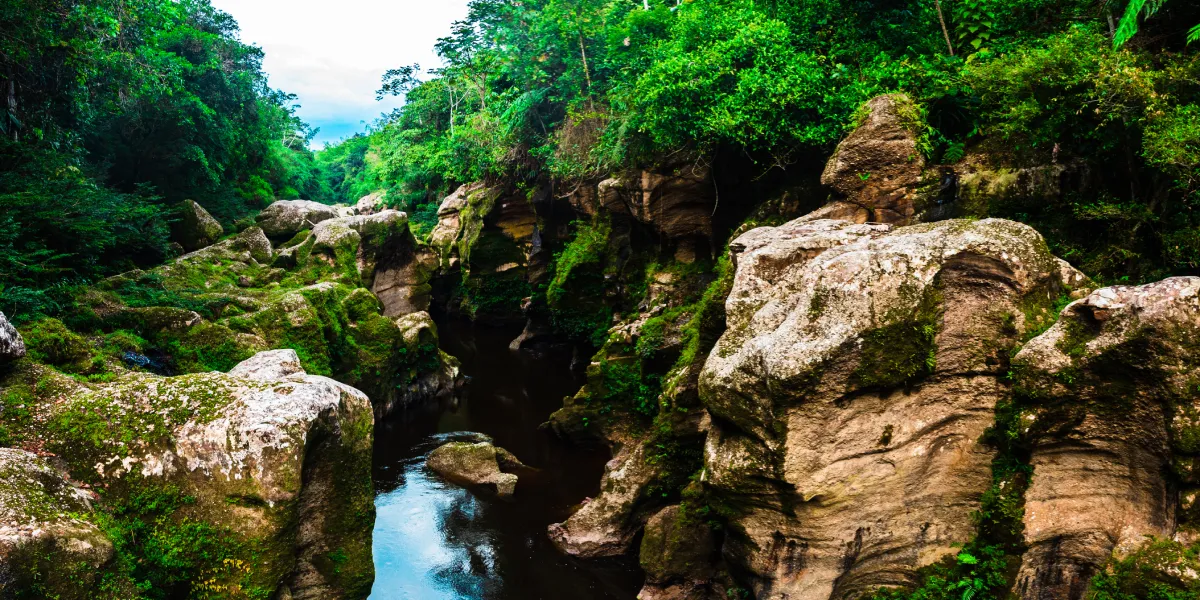 Dobrodružství v Amazonii