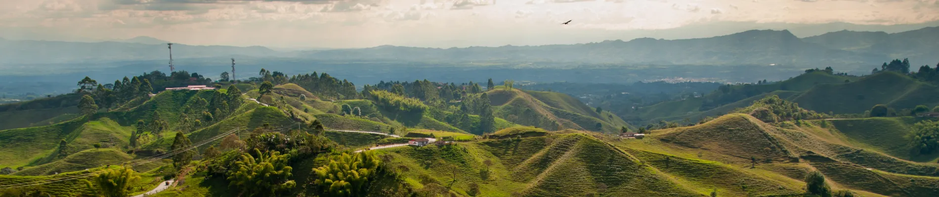 Kávový trojúhelník