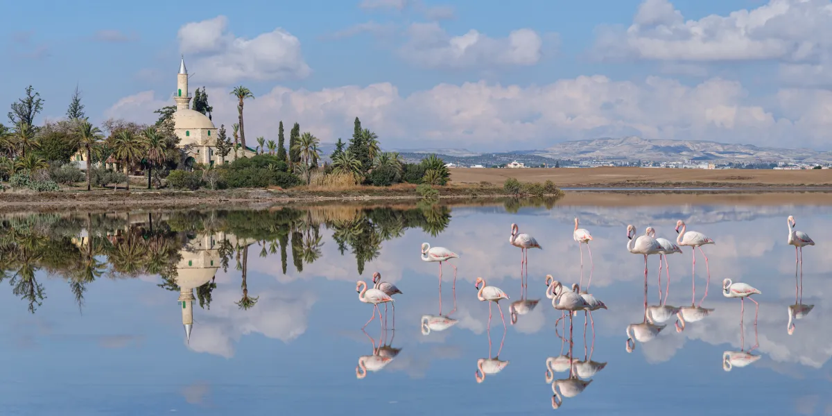 Návštěva solných jezer Larnaka