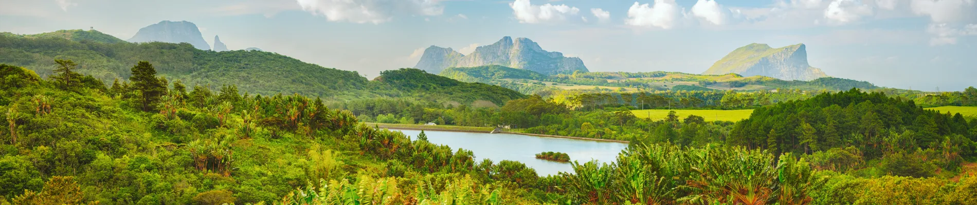 Národní park Black River Gorges