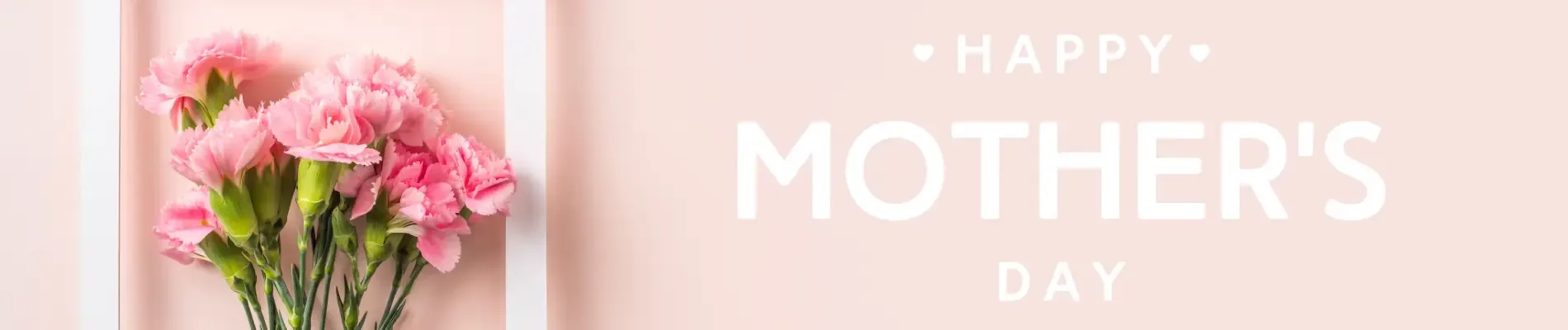 Den matek - STUDENT AGENCY