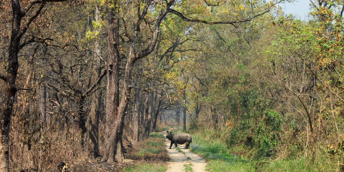 Návštěva Chitwan National Park