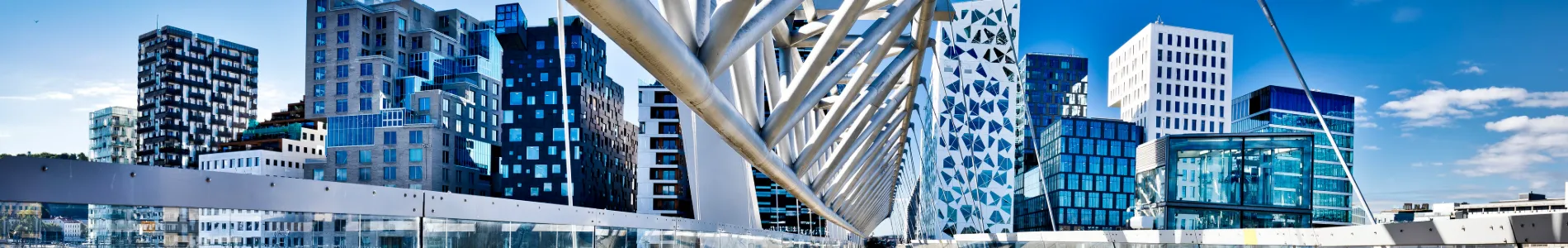 Moderní čtvrť Osla