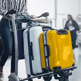 Additional baggage purchase