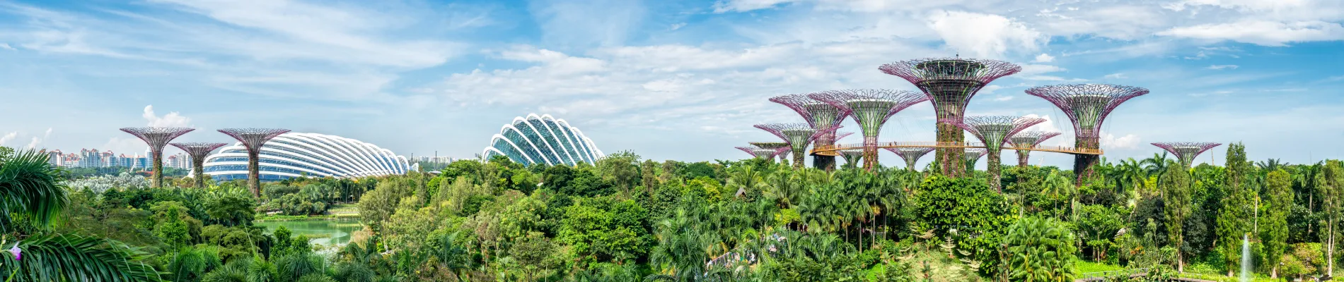 Gardens by the Bay