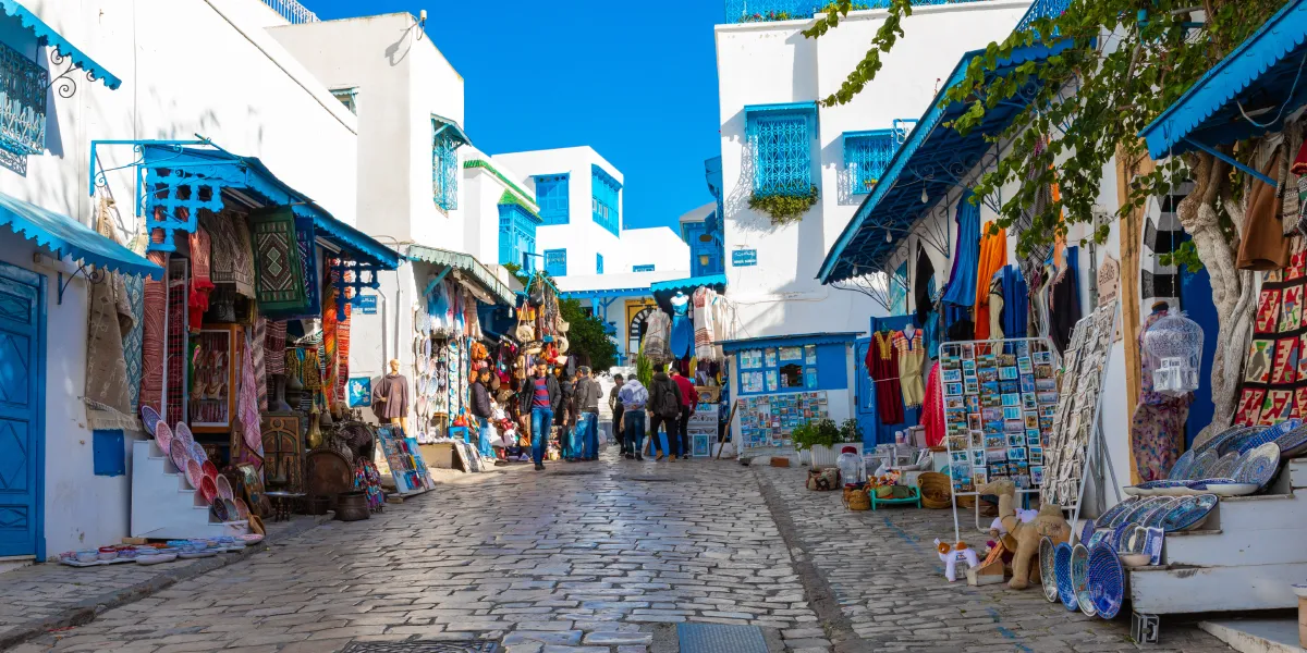 Výlet do Sidi Bou Said