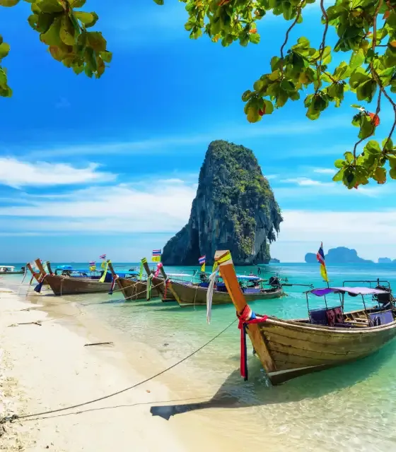 Untitled-1 (23).webp