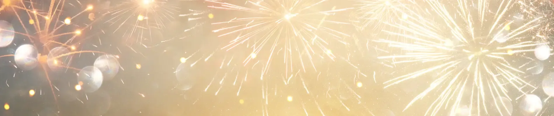 Nový rok - student agency