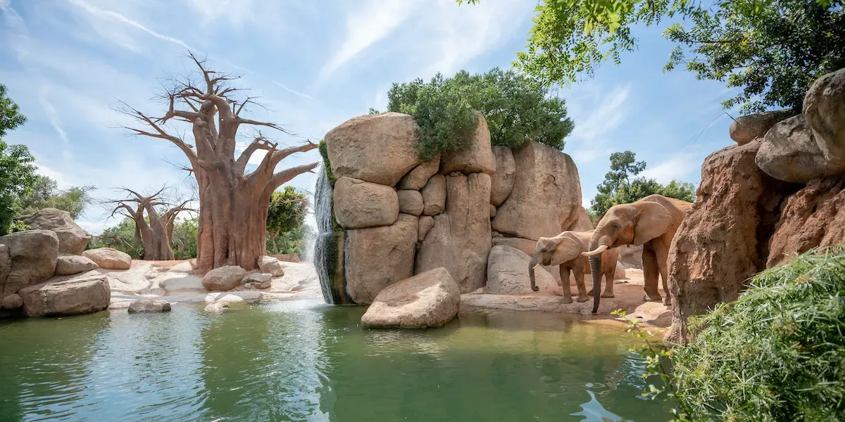 Návštěva Bioparc Valencia