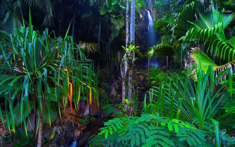 Národní park Vallée de Mai na Praslinu