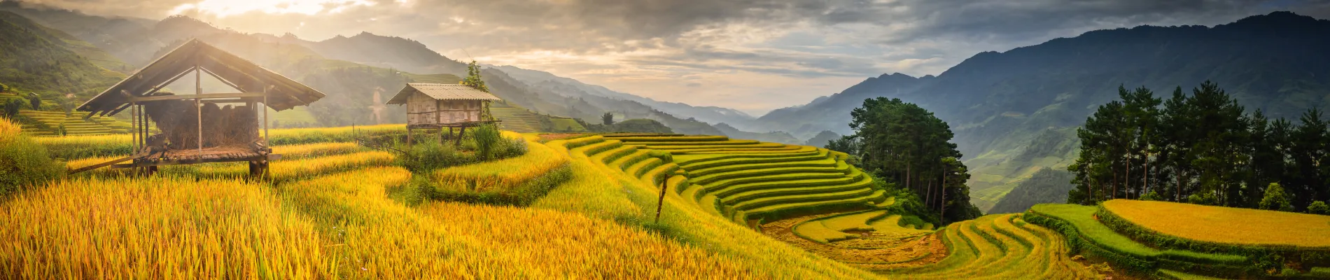 Mu Cang Chai