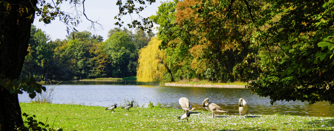 Zahrady Nymphenburského paláce