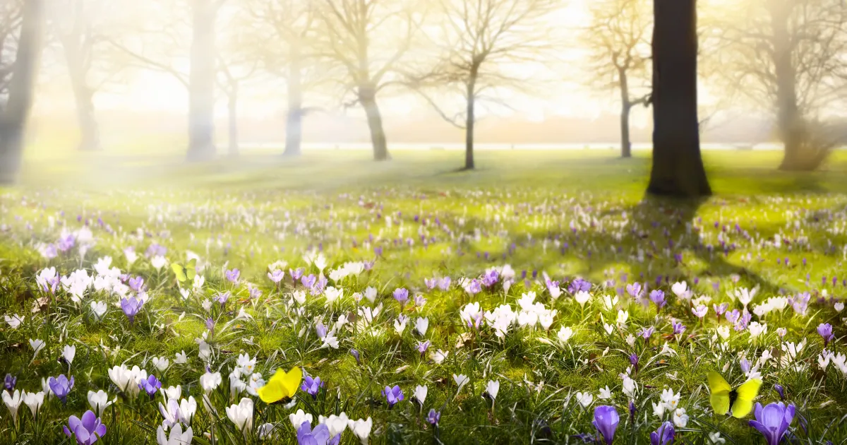 Kam letět v březnu?