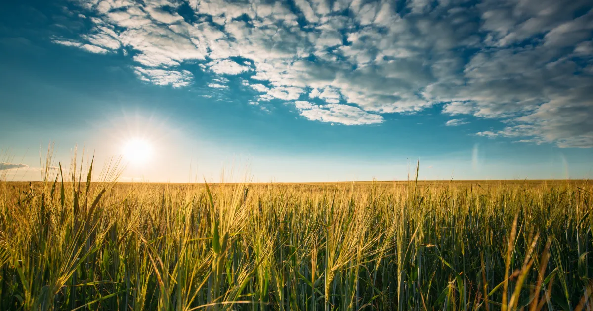 Kam letět v červnu?