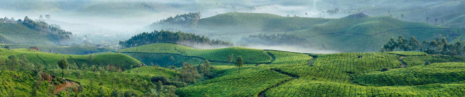 Munnar