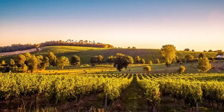 Nová linka EasyJet Praha - Bordeaux