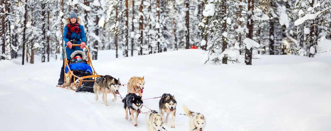 Jízda se psím spřežením