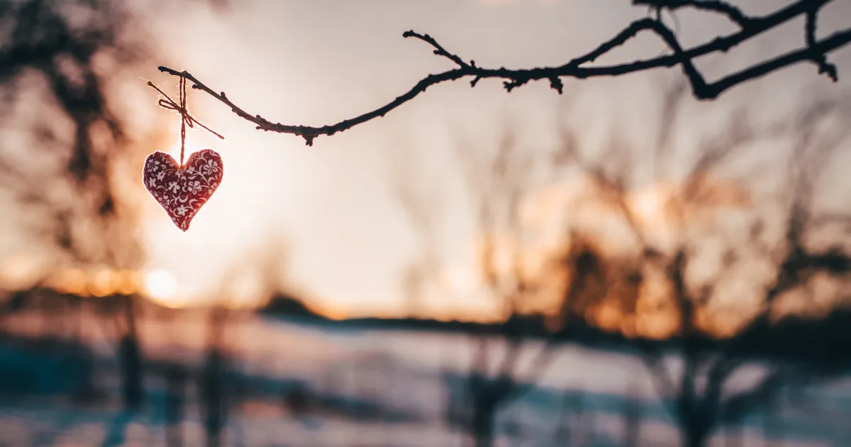 Kam letět v únoru?