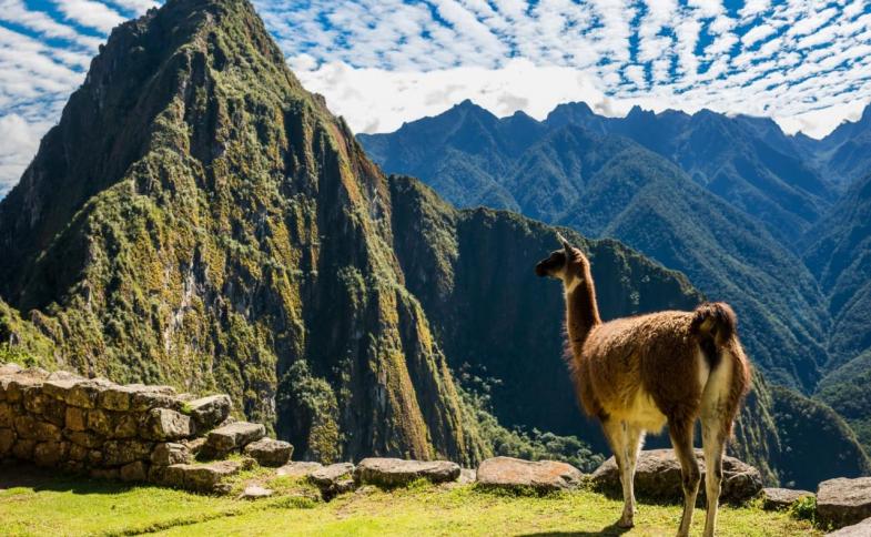 Peru, Ostatní