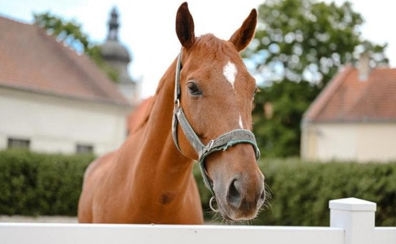 Česká republika, Praha a okolí