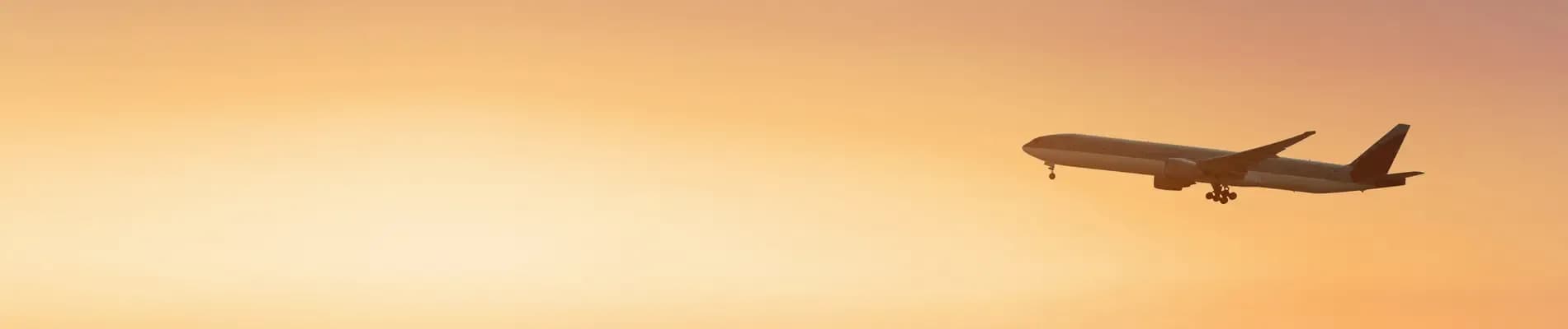 banner-image