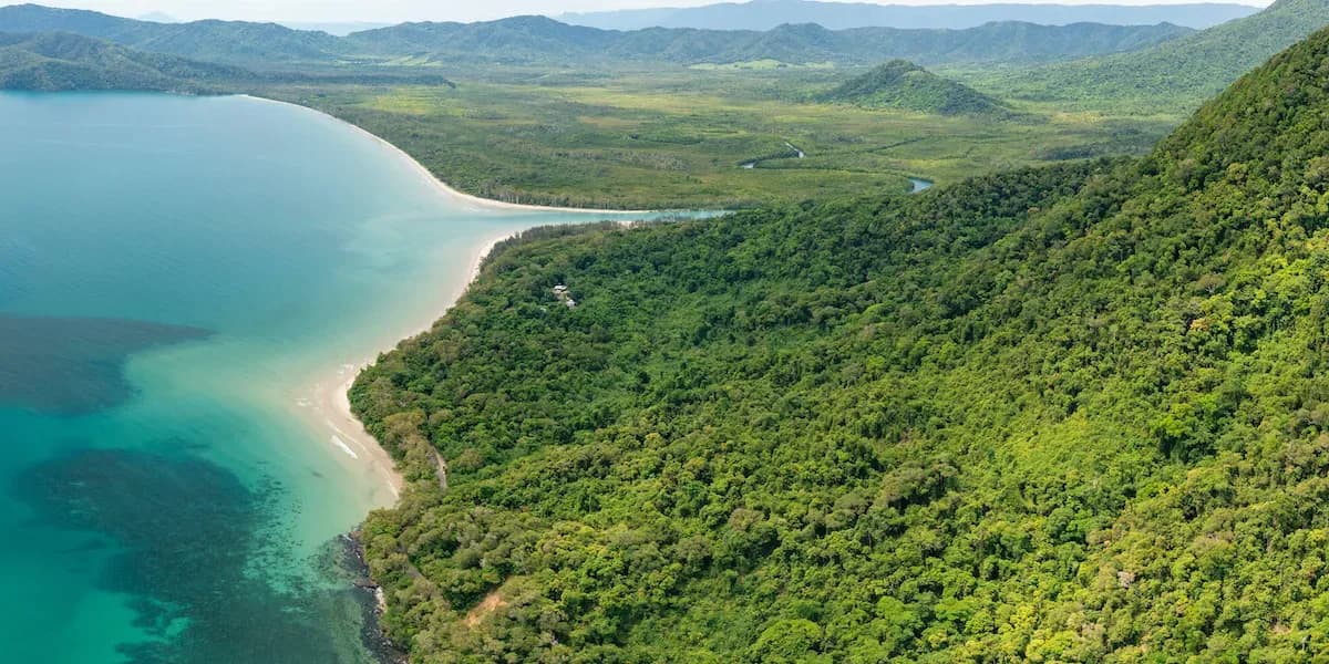 Deštný prales Daintree