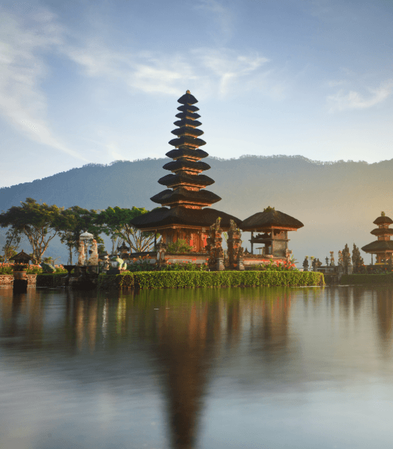 Bali- banner 560x640.png