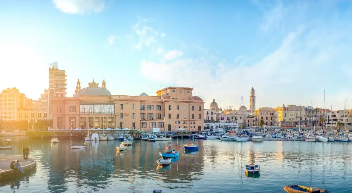 Banner- Bari.webp