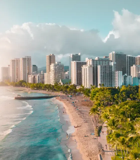 Banner- Miami.webp