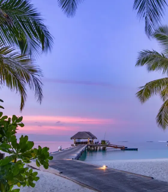 Banner- exotika.webp