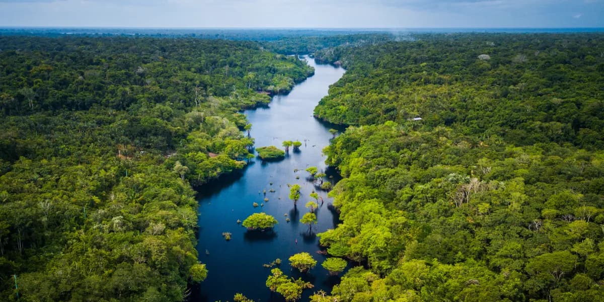 Amazonie