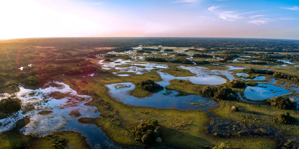 Pantanal
