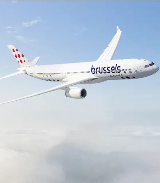 Brussels SN 560x640 (1).webp