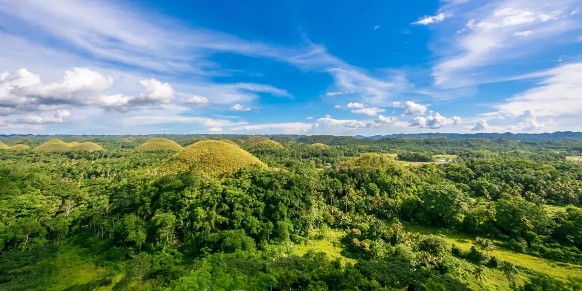 Chocolate Hills