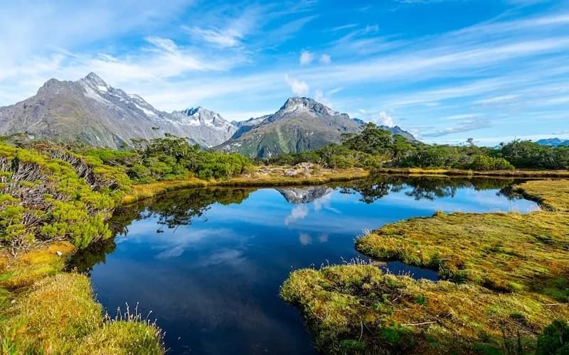 Výlet do Fiordlandu