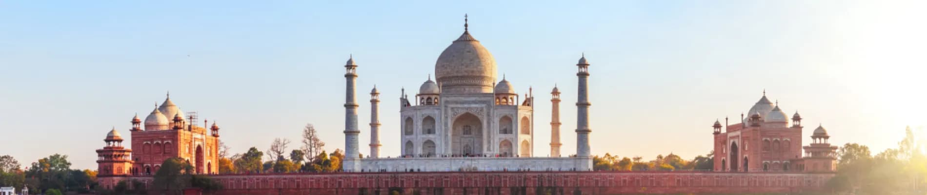 banner-image