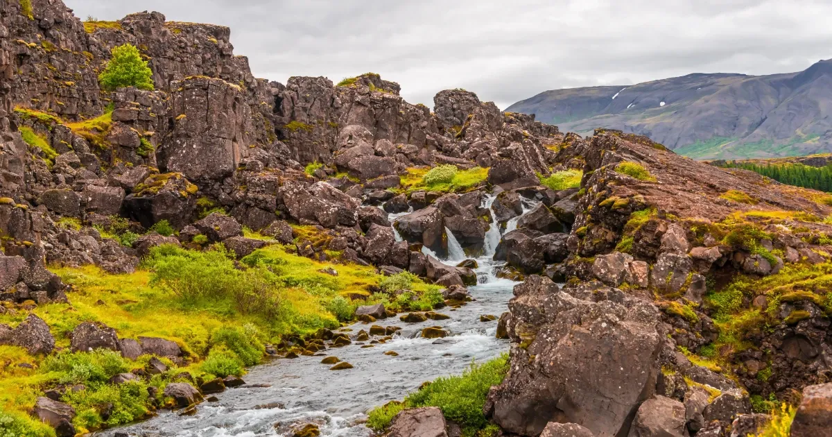 Co vidět v Reykjavíku