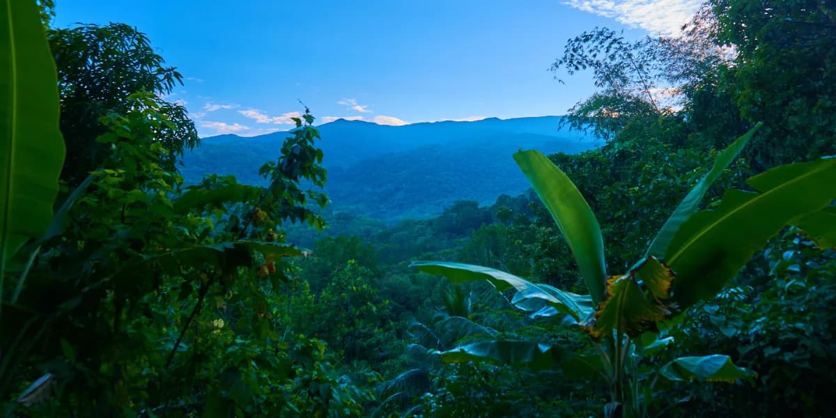 Blue Mountains