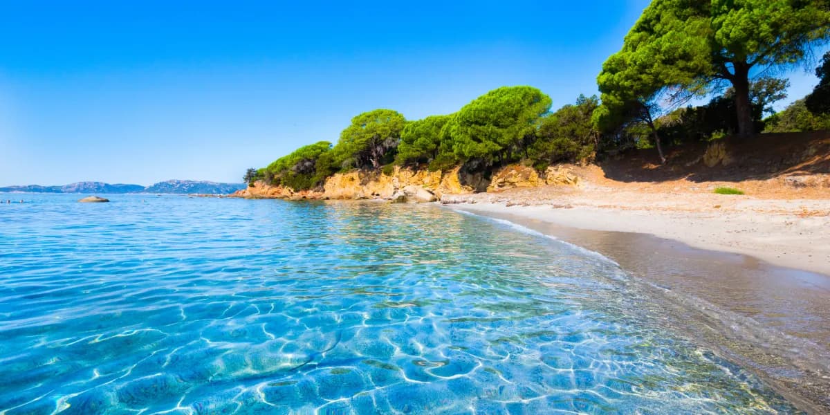 Calvi a Porto-Vecchio 