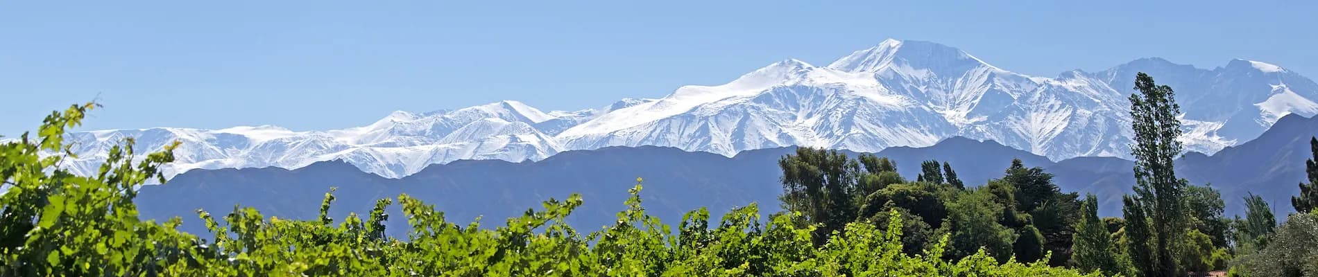 Lujan de Cuyo, Andy